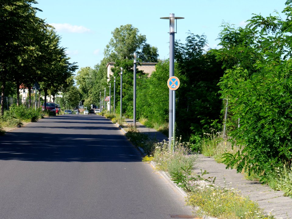 Street Am Maselakepark 2019-06-27