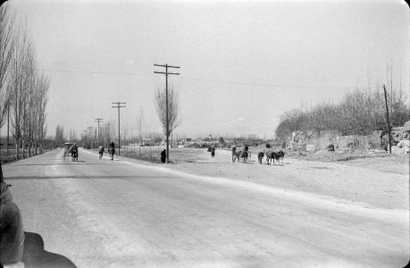 Straatbeelden, mensen, dieren, Bestanddeelnr 251-3765