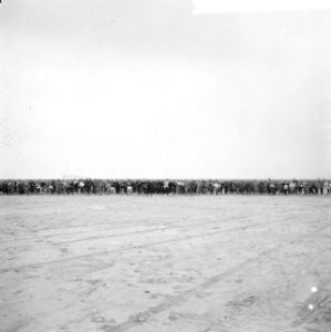 Strandloop IJmuiden Bloemendaal IJmuiden, een gedeelte va de strandlopers, Bestanddeelnr 917-4544