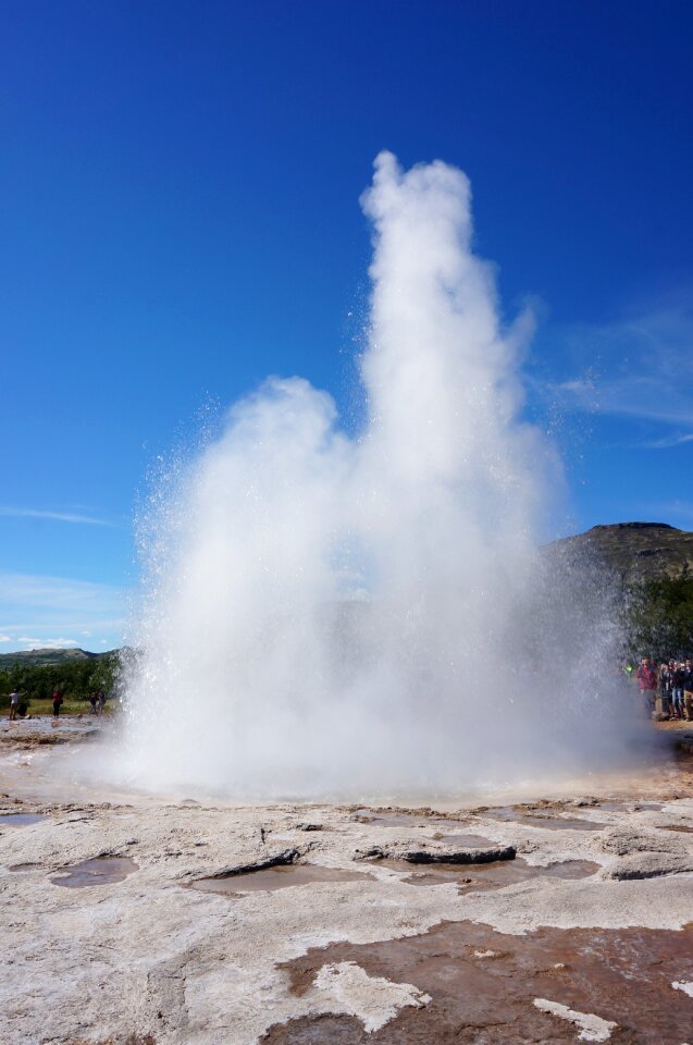 Island geyser fry