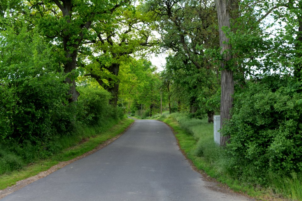Street in Mittenwalde 2021-05-29 03