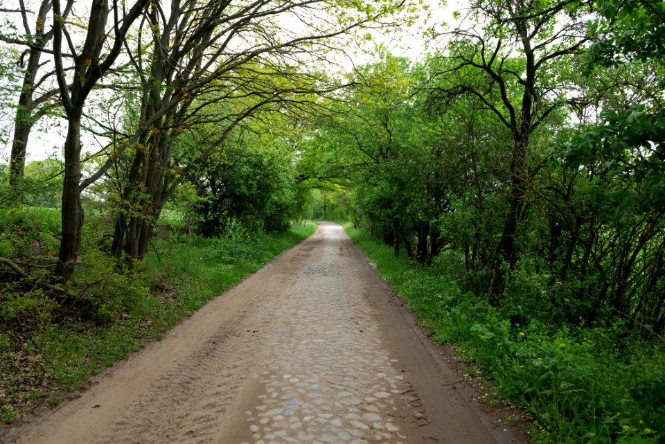 Street in Hardenbeck 2021-05-29 01