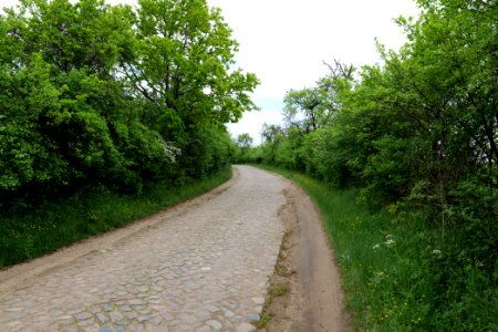 Street in Hardenbeck 2021-05-29 09