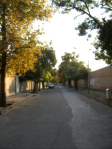 Street - attar st - Nishapur 3