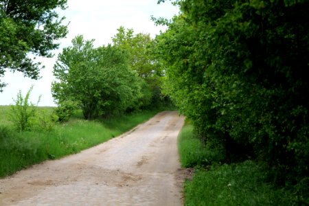 Street in Hardenbeck 2021-05-29 12 photo