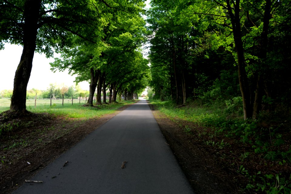 Street in Gandenitz 2021-05-29 02