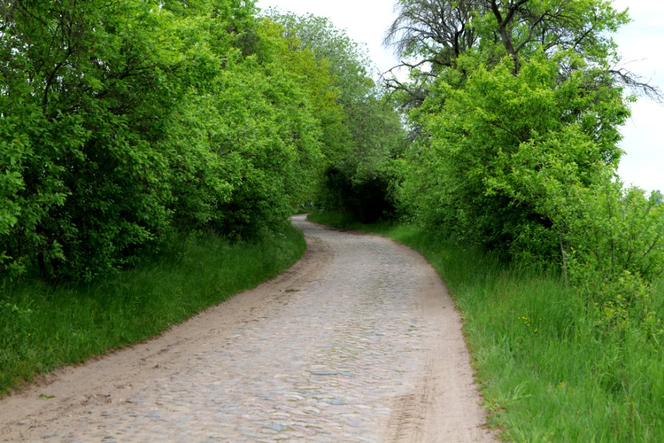 Street in Hardenbeck 2021-05-29 08