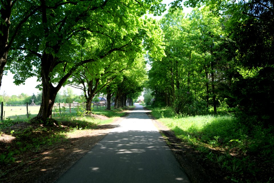 Street in Gandenitz 2021-05-29 03