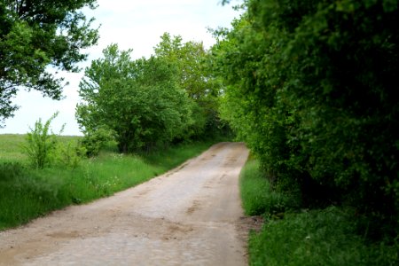 Street in Hardenbeck 2021-05-29 13