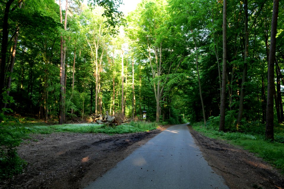 Street in Götschendorf 2021-05-29 01