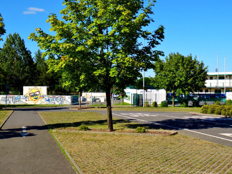 Struppener Straße, Pirna DSC06644