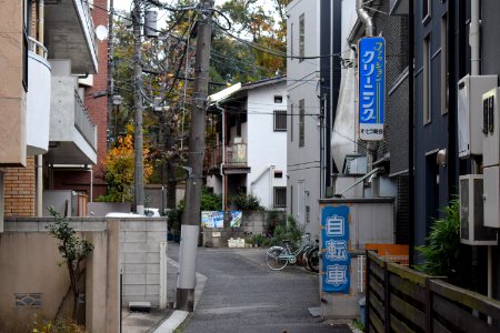 Street in Minami-Aoyama photo