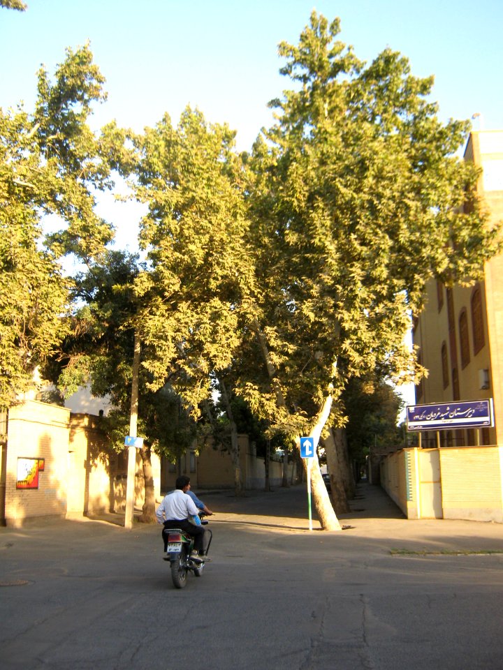 Street - attar st - Nishapur 1