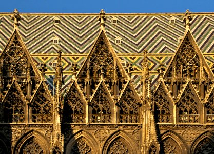 Structures roofs St Stephen's cathedral Vienna