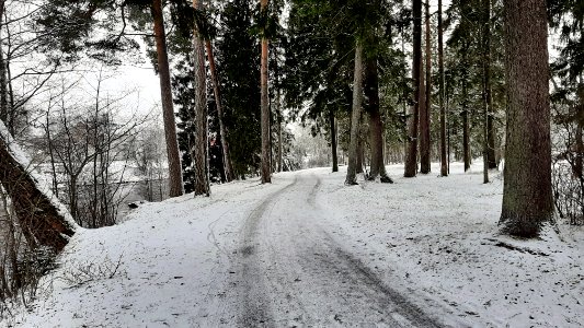 Street in Kehra Ülejõe district 1
