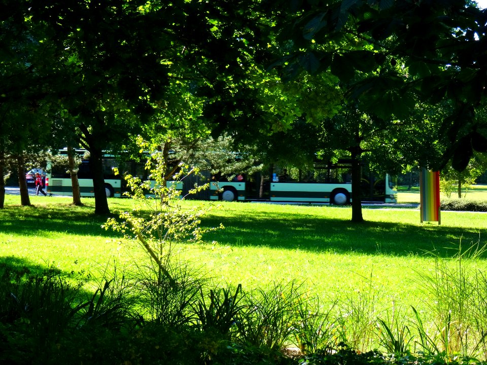 Struppener Straße, Pirna DSC06623