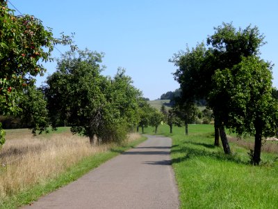 Street Cleysingen