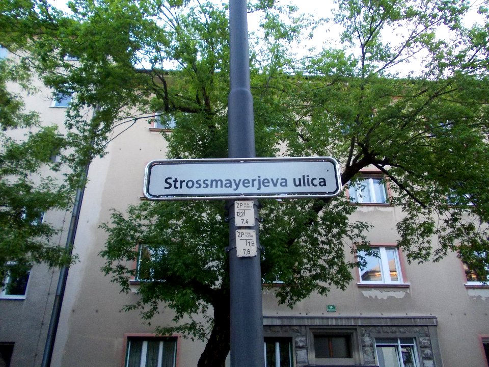 Strossmyerjeva ulica, Ljubljana