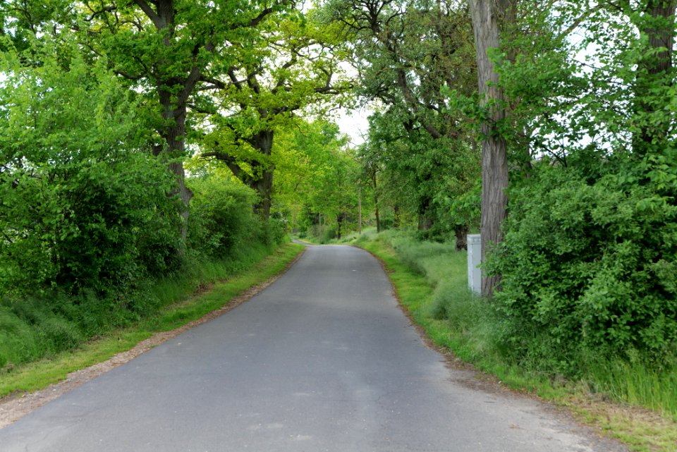 Street in Mittenwalde 2021-05-29 04