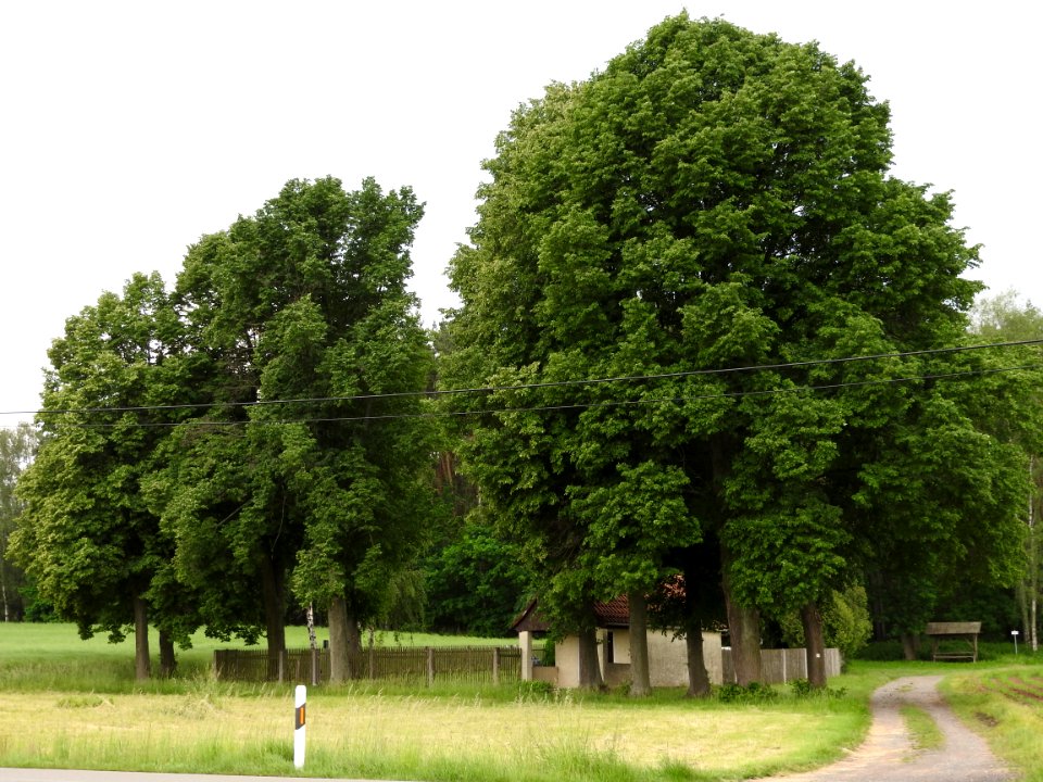 Struth, Harth-Pöllnitz 27