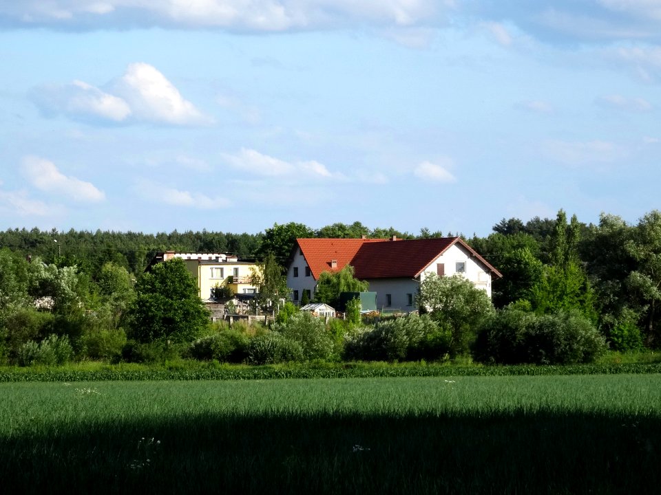 Strzyzawa 1 7-2015