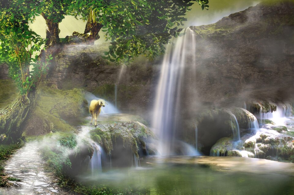 Nature water green