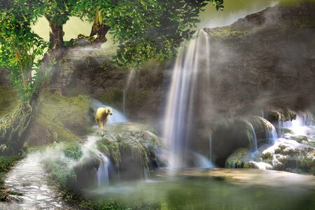 Nature water green