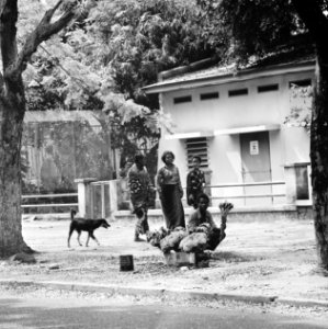 Straatbeeld in Kinshasa bloemenverkoper, Bestanddeelnr 926-7691
