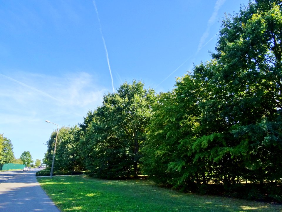 Struppener Straße, Pirna DSC06628