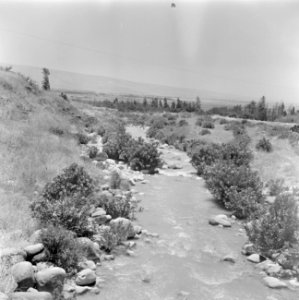 Stroompje, vermoedelijk de Kishon, Bestanddeelnr 255-0830