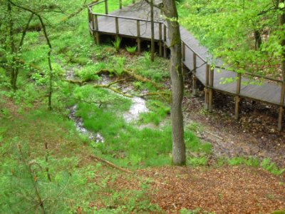 Strukenbrock-Senne - Emsquelle