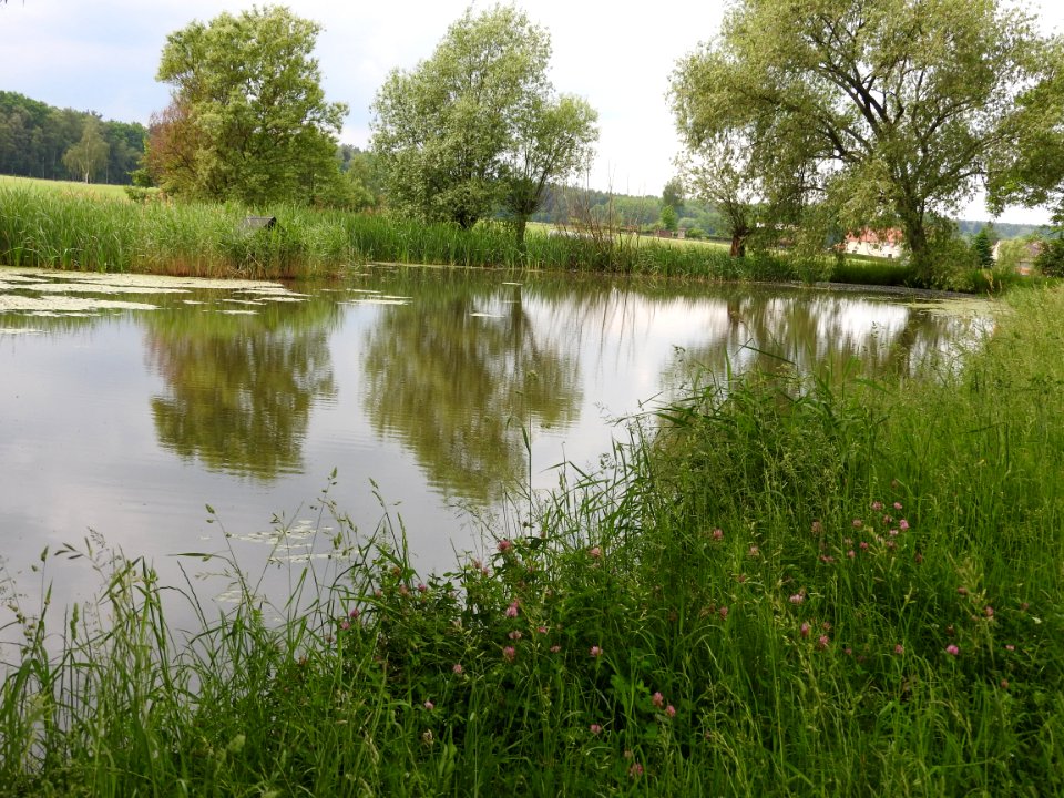 Struth, Harth-Pöllnitz 14