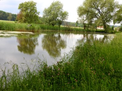 Struth, Harth-Pöllnitz 14