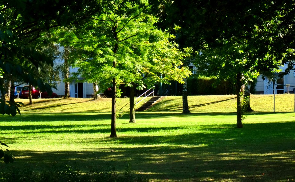 Struppener Straße, Pirna DSC06630
