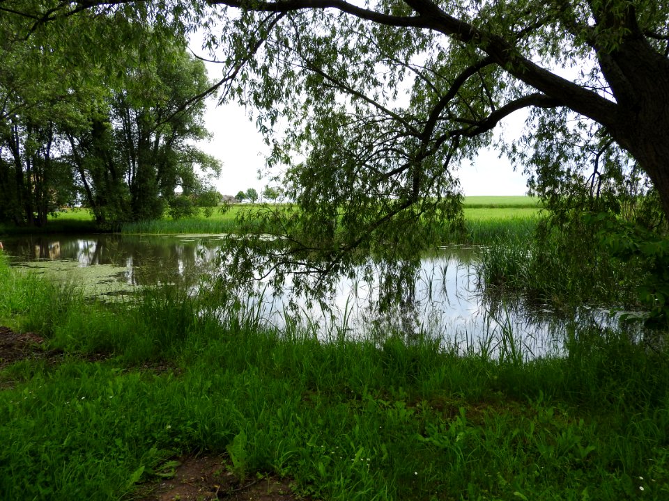 Struth, Harth-Pöllnitz 08