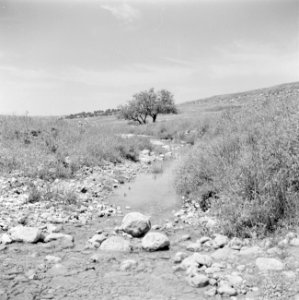 Stroompje, vermoedelijk de Kishon, Bestanddeelnr 255-0828