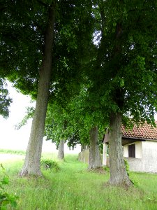 Struth, Harth-Pöllnitz 28