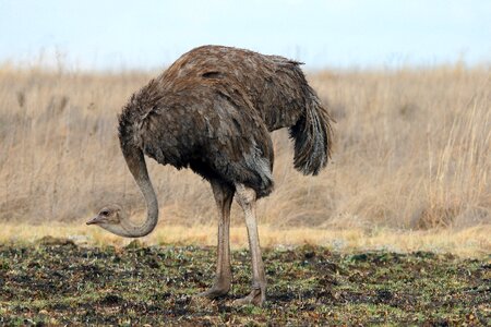 Wildlife reserve park