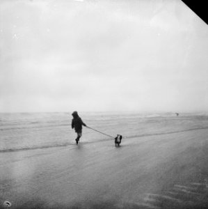 Strand van Scheveningen tijdens slecht weer Jongetje met hond bij zee, Bestanddeelnr 912-8584