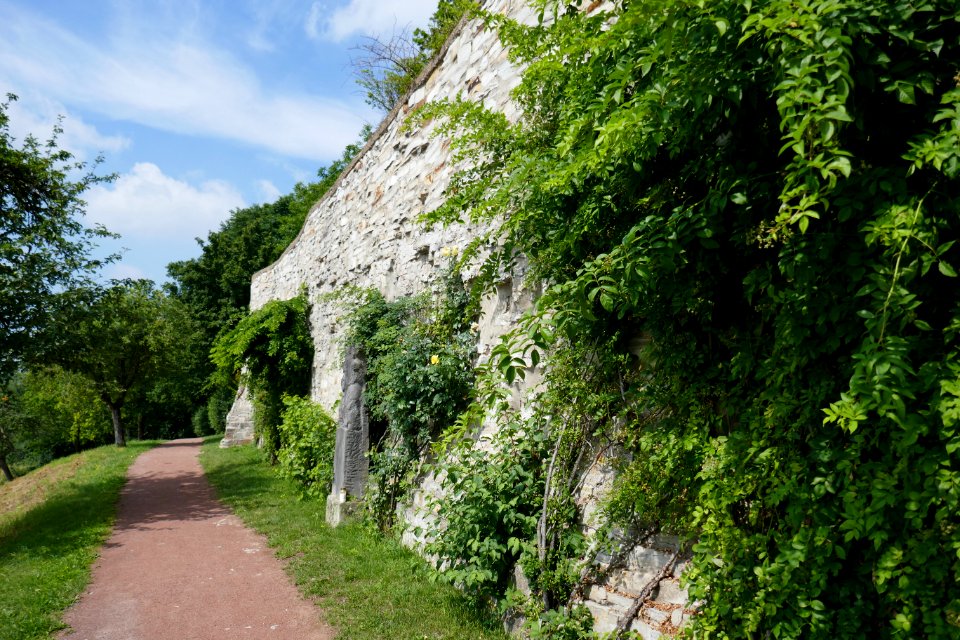 Stromberg - Burg - Südliche Burgmauer - 2