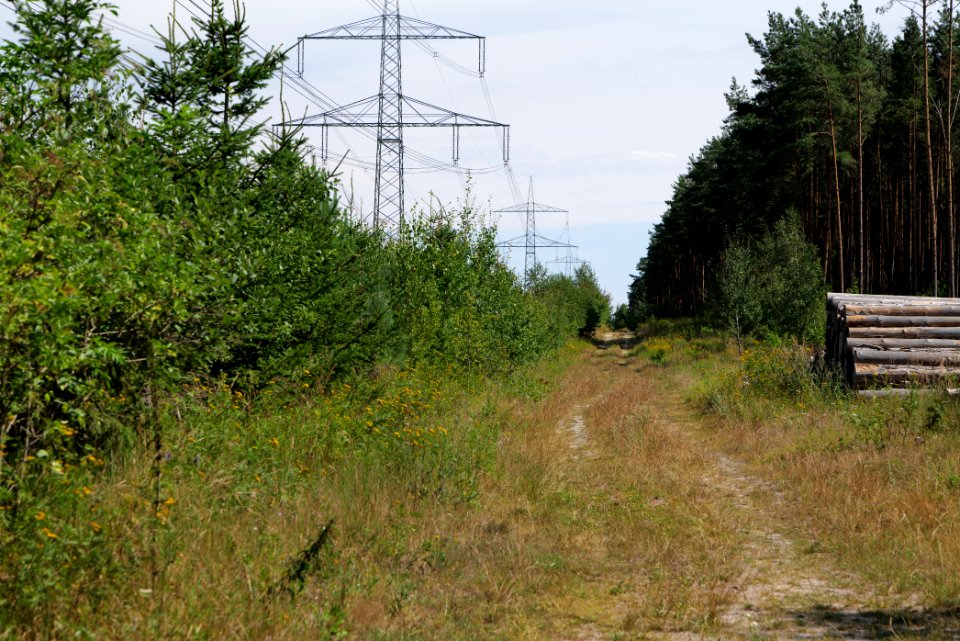Strausberger Sander-, Os- und Barnimhanglandschaft 2020-08-05 79