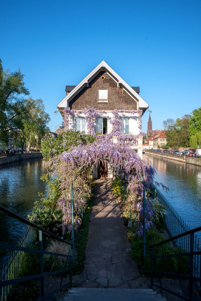Strasbourg (207699867)