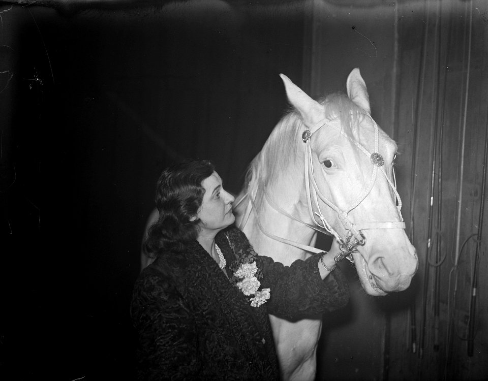 Strassburger met paard, Bestanddeelnr 902-5453