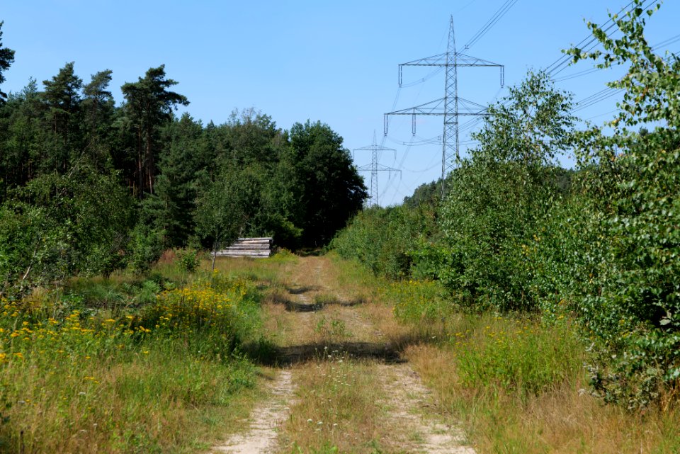 Strausberger Sander-, Os- und Barnimhanglandschaft 2020-08-05 70