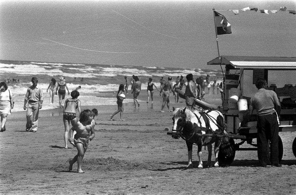 Strand Zandvoort, Bestanddeelnr 926-5346