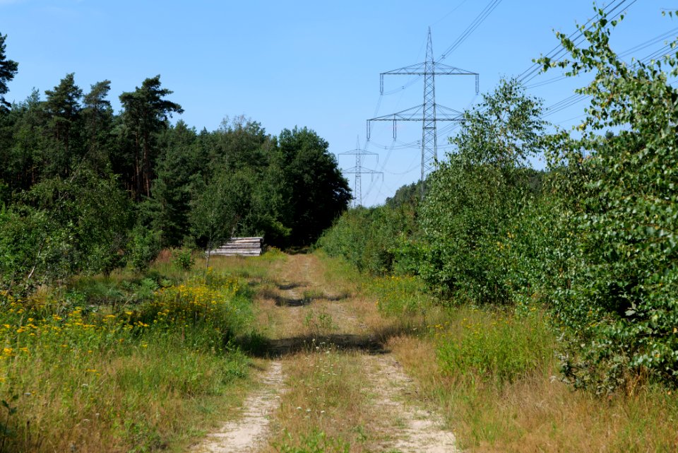 Strausberger Sander-, Os- und Barnimhanglandschaft 2020-08-05 69