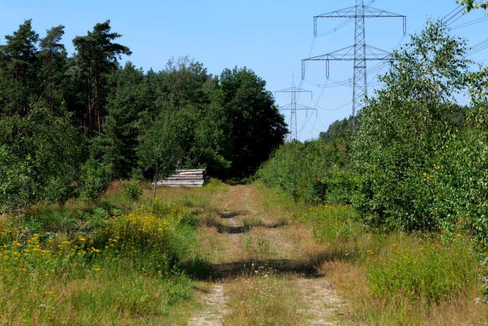 Strausberger Sander-, Os- und Barnimhanglandschaft 2020-08-05 71