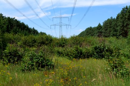 Strausberger Sander-, Os- und Barnimhanglandschaft 2020-08-05 02