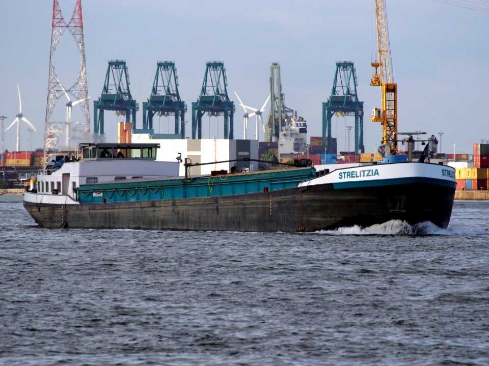 Strelizia (ship, 1979), ENI 06004237, Port of Antwerp pic1