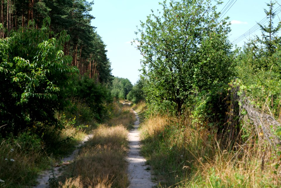 Strausberger Sander-, Os- und Barnimhanglandschaft 2020-08-05 40